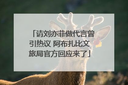 请刘亦菲做代言曾引热议 阿布扎比文旅局官方回应来了