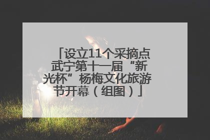 设立11个采摘点 武宁第十一届“新光杯”杨梅文化旅游节开幕（组图）