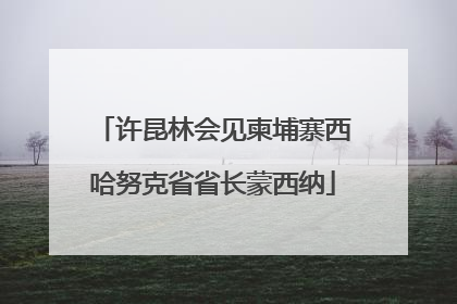 许昆林会见柬埔寨西哈努克省省长蒙西纳