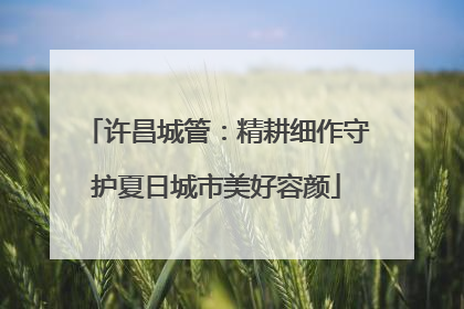许昌城管：精耕细作守护夏日城市美好容颜