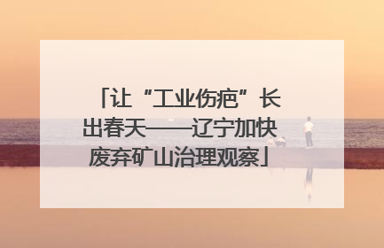 让“工业伤疤”长出春天——辽宁加快废弃矿山治理观察