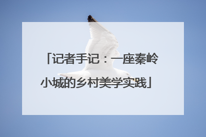 记者手记：一座秦岭小城的乡村美学实践