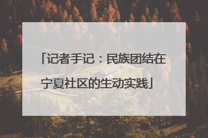 记者手记：民族团结在宁夏社区的生动实践