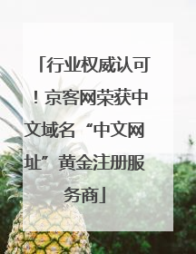 行业权威认可！京客网荣获中文域名“中文网址”黄金注册服务商