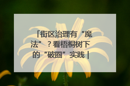街区治理有“魔法”？看梧桐树下的“破圈”实践｜我在街区当书记