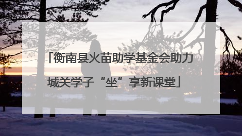 衡南县火苗助学基金会助力城关学子“坐”享新课堂
