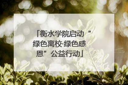 衡水学院启动“绿色离校·绿色感恩”公益行动