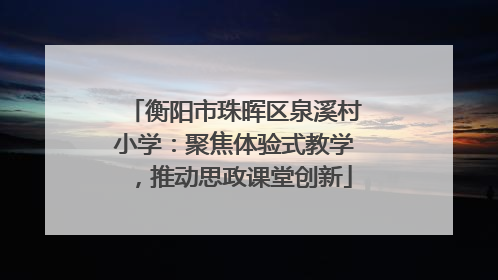 衡阳市珠晖区泉溪村小学：聚焦体验式教学，推动思政课堂创新