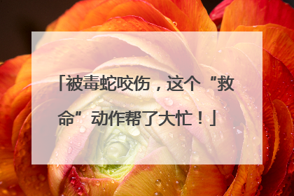 被毒蛇咬伤，这个“救命”动作帮了大忙！