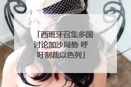 西班牙召集多国讨论加沙局势 呼吁制裁以色列