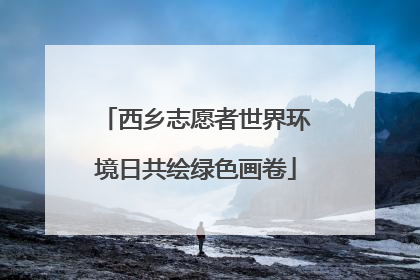 西乡志愿者世界环境日共绘绿色画卷
