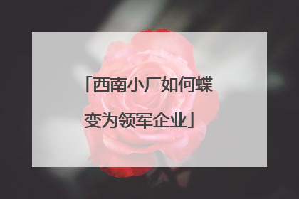 西南小厂如何蝶变为领军企业