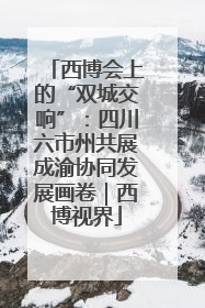 西博会上的“双城交响”：四川六市州共展成渝协同发展画卷｜西博视界