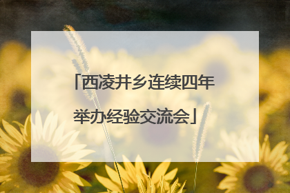 西凌井乡连续四年举办经验交流会