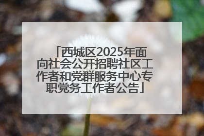 西城区2025年面向社会公开招聘社区工作者和党群服务中心专职党务工作者公告