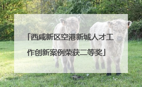 西咸新区空港新城人才工作创新案例荣获二等奖