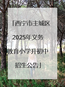 西宁市主城区2025年义务教育小学升初中招生公告