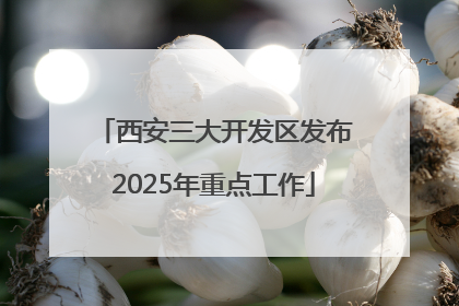 西安三大开发区发布2025年重点工作