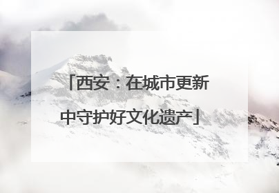 西安：在城市更新中守护好文化遗产