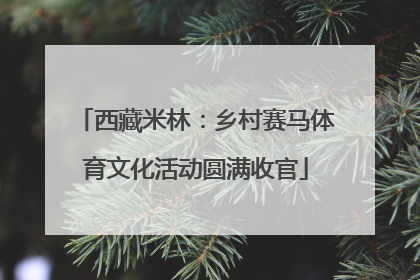 西藏米林：乡村赛马体育文化活动圆满收官