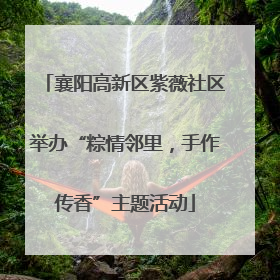 襄阳高新区紫薇社区举办“粽情邻里，手作传香”主题活动