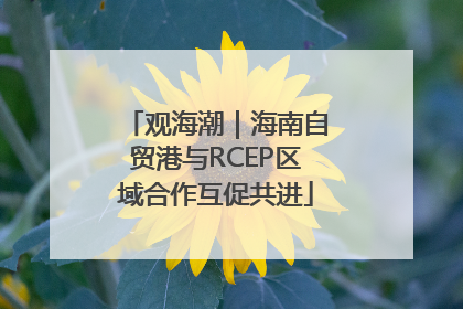 观海潮｜海南自贸港与RCEP区域合作互促共进