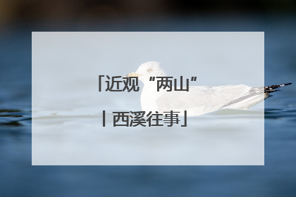 近观“两山”丨西溪往事