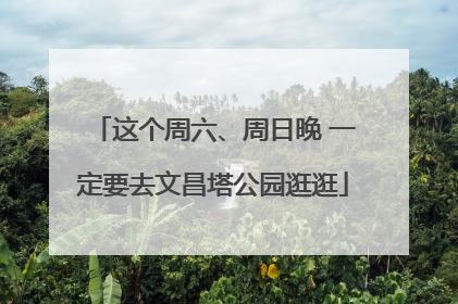 这个周六、周日晚 一定要去文昌塔公园逛逛