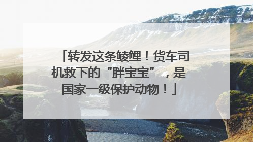 转发这条鲮鲤！货车司机救下的“胖宝宝”，是国家一级保护动物！