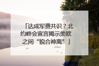 达成军费共识？北约峰会宣言揭示美欧之间“貌合神离”