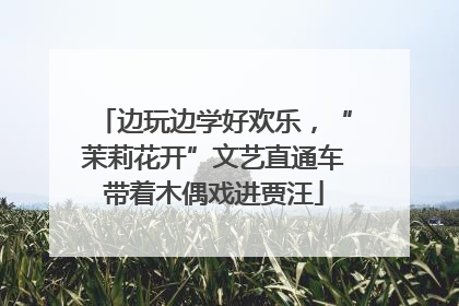 边玩边学好欢乐，“茉莉花开”文艺直通车带着木偶戏进贾汪