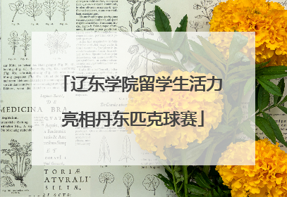 辽东学院留学生活力亮相丹东匹克球赛