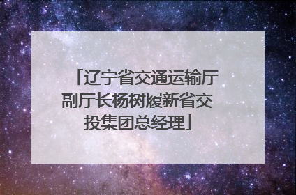 辽宁省交通运输厅副厅长杨树履新省交投集团总经理