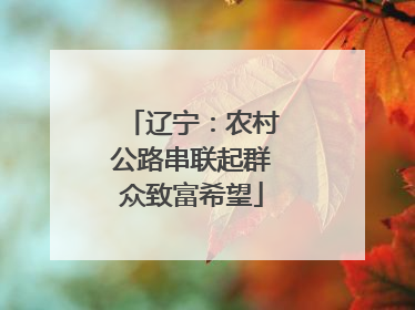 辽宁：农村公路串联起群众致富希望