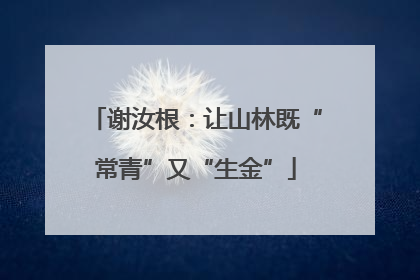 谢汝根：让山林既“常青”又“生金”