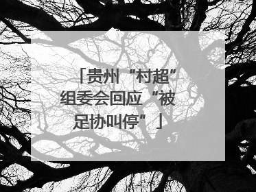 贵州“村超”组委会回应“被足协叫停”