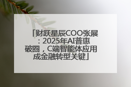 财跃星辰COO张展：2025年AI普惠破圈，C端智能体应用成金融转型关键