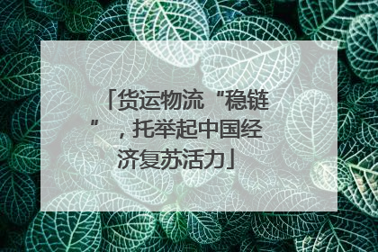 货运物流“稳链”，托举起中国经济复苏活力