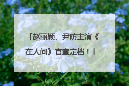 赵丽颖、尹昉主演《在人间》官宣定档！
