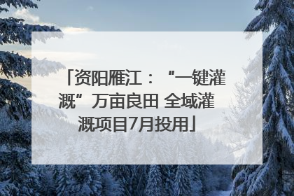 资阳雁江：“一键灌溉”万亩良田 全域灌溉项目7月投用