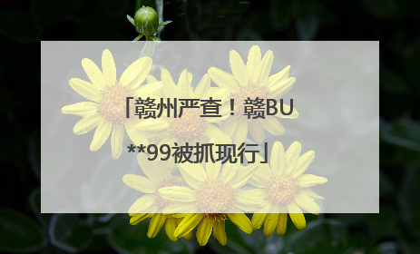 赣州严查！赣BU**99被抓现行