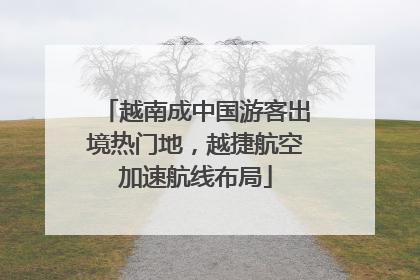 越南成中国游客出境热门地，越捷航空加速航线布局