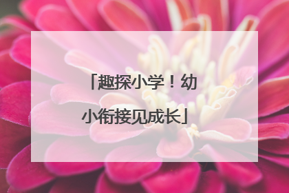 趣探小学！幼小衔接见成长