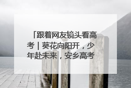 跟着网友镜头看高考｜葵花向阳开，少年赴未来，安乡高考首日的希望图景