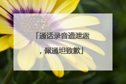 通话录音遭泄露，佩通坦致歉