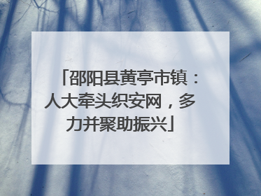 邵阳县黄亭市镇：人大牵头织安网，多力并聚助振兴