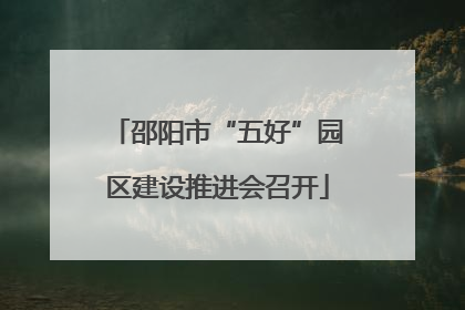 邵阳市“五好”园区建设推进会召开