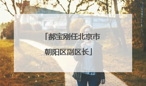 郝宝刚任北京市朝阳区副区长