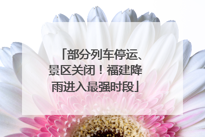 部分列车停运、景区关闭！福建降雨进入最强时段