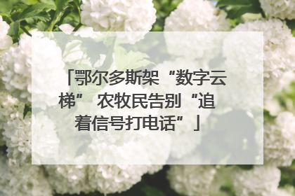 鄂尔多斯架“数字云梯” 农牧民告别“追着信号打电话”